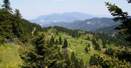 OITIS MOUNTAIN PATHS