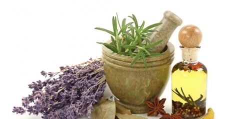 ORGANIC FOODS AND HERBS