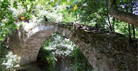 PELION