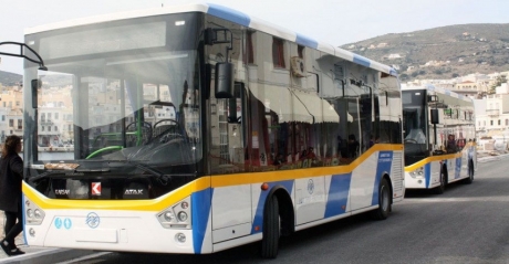 LOCAL BUSES